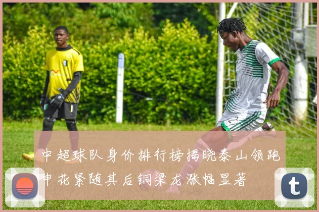 中超球队身价排行榜揭晓泰山领跑申花紧随其后铜梁龙涨幅显著